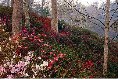 《GT赛车7》将于2月21日升级更新 获得PS VR2支持